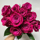 Roseberry Rose